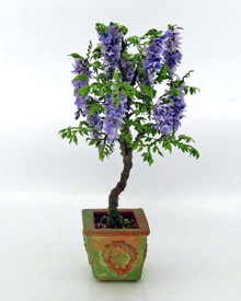 Dollshouse Miniature Standard Wisteria (image for) Dollshouse Miniature Standard Wisteria